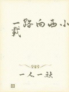 一路向西小说下载