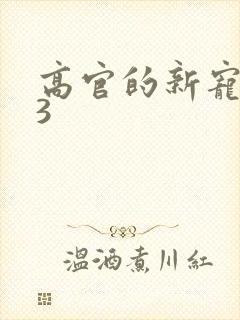 高官的新宠1V3