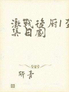 激战后厨1至5集日剧