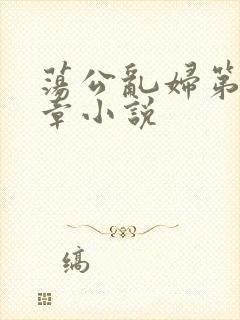 荡公乱妇第51章小说