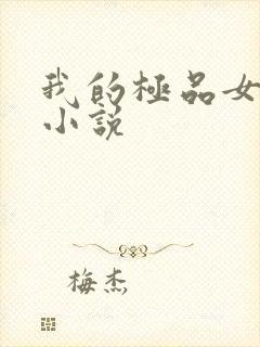 我的极品女老师小说