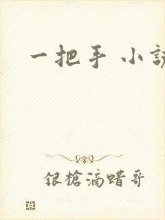 一把手 小说