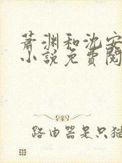 萧渊和沈安安的小说免费阅读