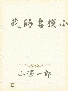我的名模小娇妻