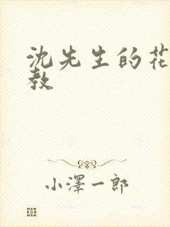 沈先生的花式调教