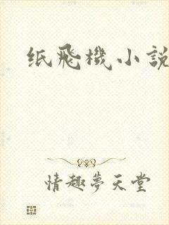 纸飞机小说