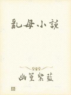 乱母小说