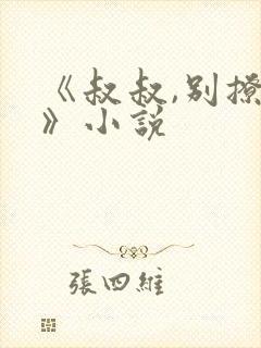 《叔叔,别撩我》小说