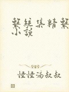 系统集精系统 小说