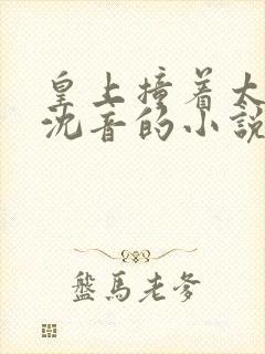 皇上撞着太子妃沈音的小说叫什么