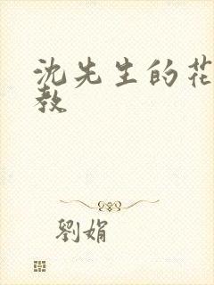 沈先生的花式调教