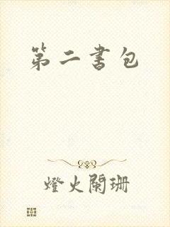 第二书包
