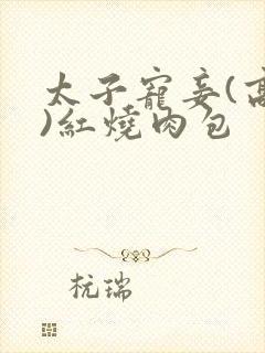 太子宠妾(高肉)红烧肉包