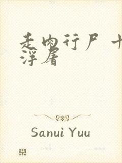 走肉行尸 十阶浮屠