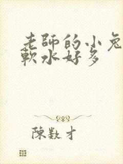 老师的小兔子好软水好多