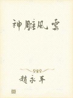 神雕风云