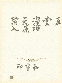 禁天漫堂直接进入原神