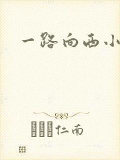 一路向西小说