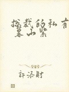 总裁的私有宝贝 暮山紫