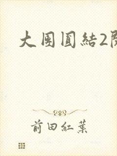 大团圆结2阅读