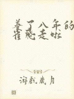 养了八年的金丝雀飞走啦