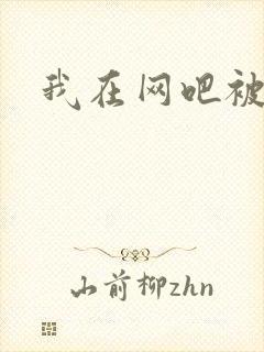 我在网吧被黑人