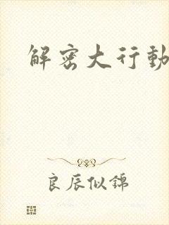 解密大行动