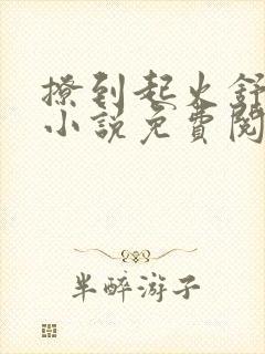 撩到起火舒漾的小说免费阅读全文