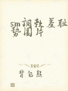 sm调教羞耻姿势图片