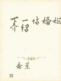 下一站婚姻剧情介绍