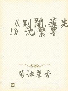 《别闹,薄先生!》沈繁星