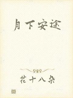 月下安途
