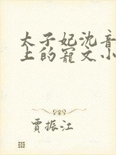 太子妃沈音和皇上的宠文小说