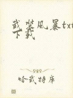 武装风暴txt下载