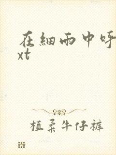 在细雨中呼喊txt