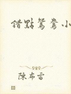 错点鸳鸯小说