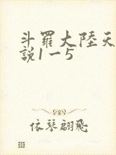 斗罗大陆天狂传说1一5