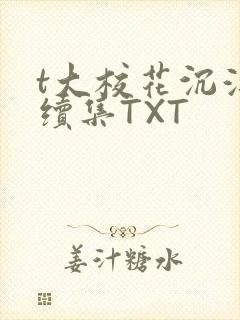 t大校花沉浮录续集TXT
