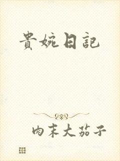 贵婉日记
