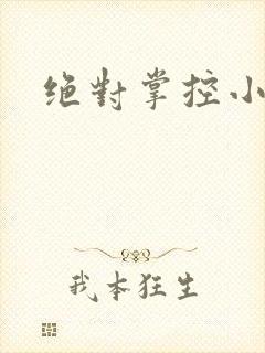绝对掌控小说