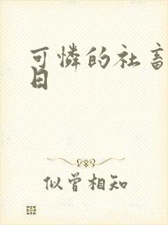 可怜的社畜东度日