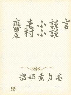 恋老小说言情网农村小说