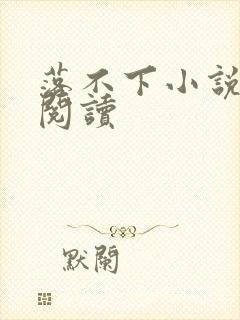 落不下小说免费阅读