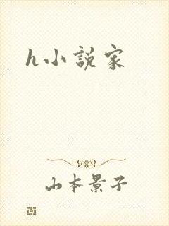 h小说家