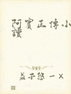 阿宾正传小说在读