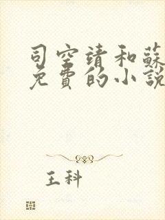 司空靖和苏月汐免费的小说笔趣阁