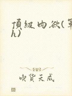 顶级肉欲(军高h)