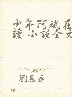 少年阿斌在线阅读 小说全文免费