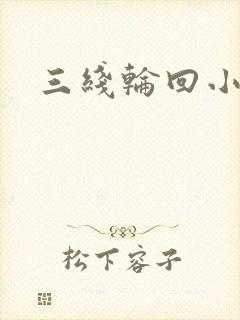 三线轮回小说