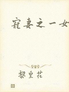 宠妻之一女二夫